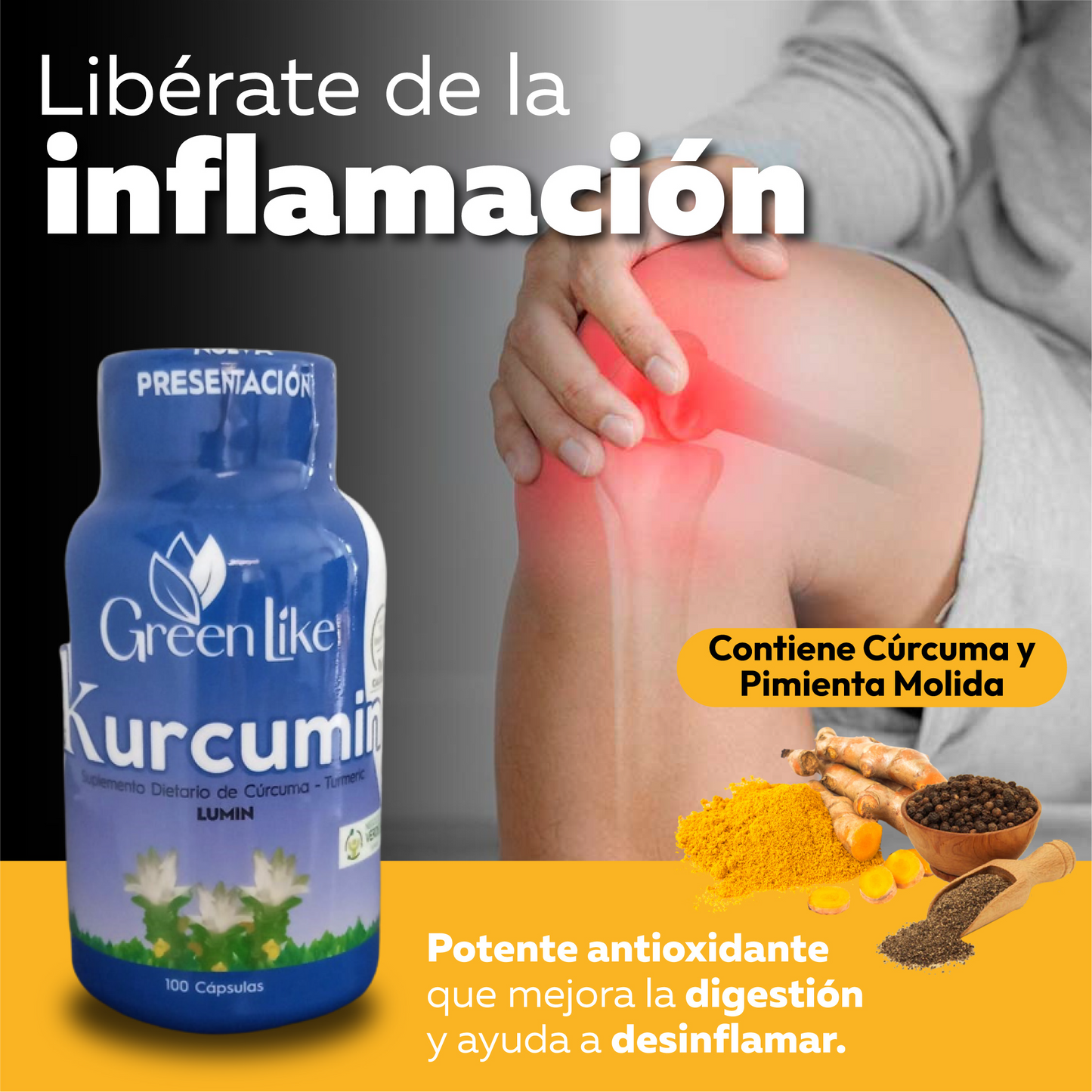 CÚRCUMA + JENGIBRE 100 CÁP.