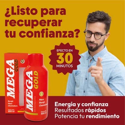 MEGA GOLD ENERGIZANTE 500ML